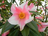 p20110324_63