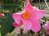 p20110324_64