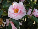 p20110324_74