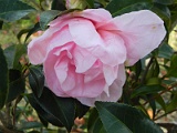 p20110324_75