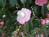 p20110324_80