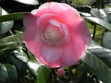 p20110324_81
