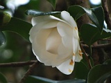 s2009_0318-009