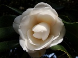 s2009_0318-010