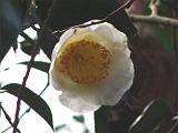 s2009_0318-019