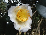 s2009_0318-022