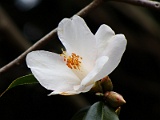 s2009_0318-047