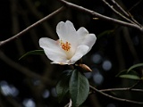 s2009_0318-048