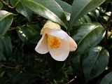 s2009_0318-107