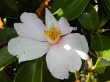 s20110324_09