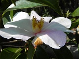 s20110324_10