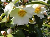 s20110324_23