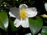 s20110324_24