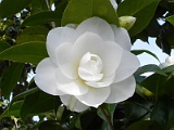 s20110324_35