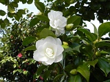 s20110324_36