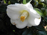 s20110324_46