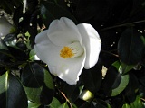 s20110324_47