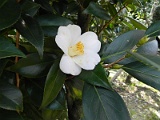 s20110324_48