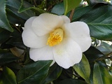 s20110324_49
