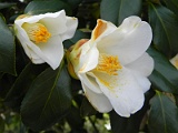 s20110324_58