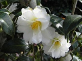 s20110324_65