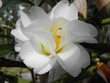 s20110324_66