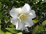 s20110324_72