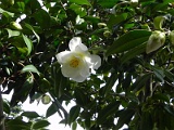 s20110324_73