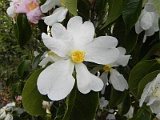 s20110324_82