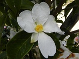s20110324_83