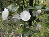s20110324_84
