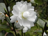 s20110324_85