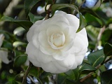 s20110324_88