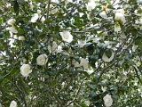 s20110324_89