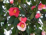 t20110324_27