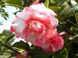 t20110324_50