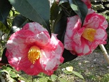t20110324_51