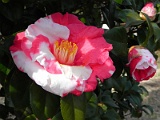 t20110324_60