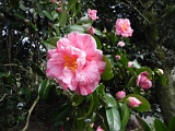 t20110324_86