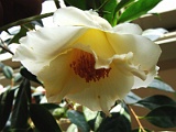 x2009_0318-096