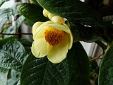 x2009_0318-097