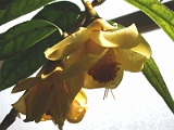 x2009_0318-102