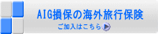 AIG損保の海外旅行保険
