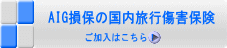 AIG損保の国内旅行傷害保険