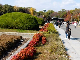 11.大阪城公園森ノ宮側