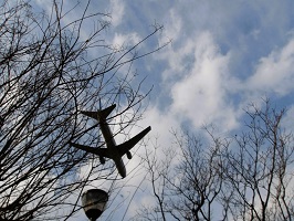 8.抽選会（住吉大社）