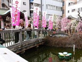 大阪天満宮星合橋