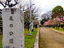 4.花の公園