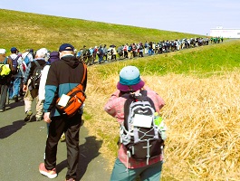 11.帰り道も整然と2