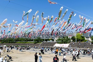 3.１０００匹の鯉のぼり